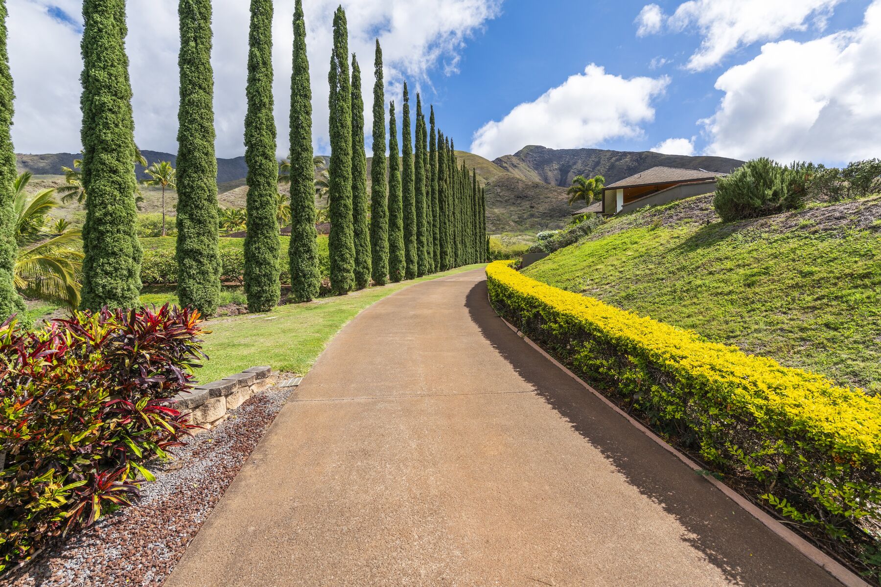 Cypress-lined private drive
